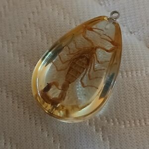 Vintage Yellow Scorpion in Resin Pendant, Real Insect Jewelry, Golden Scorpion